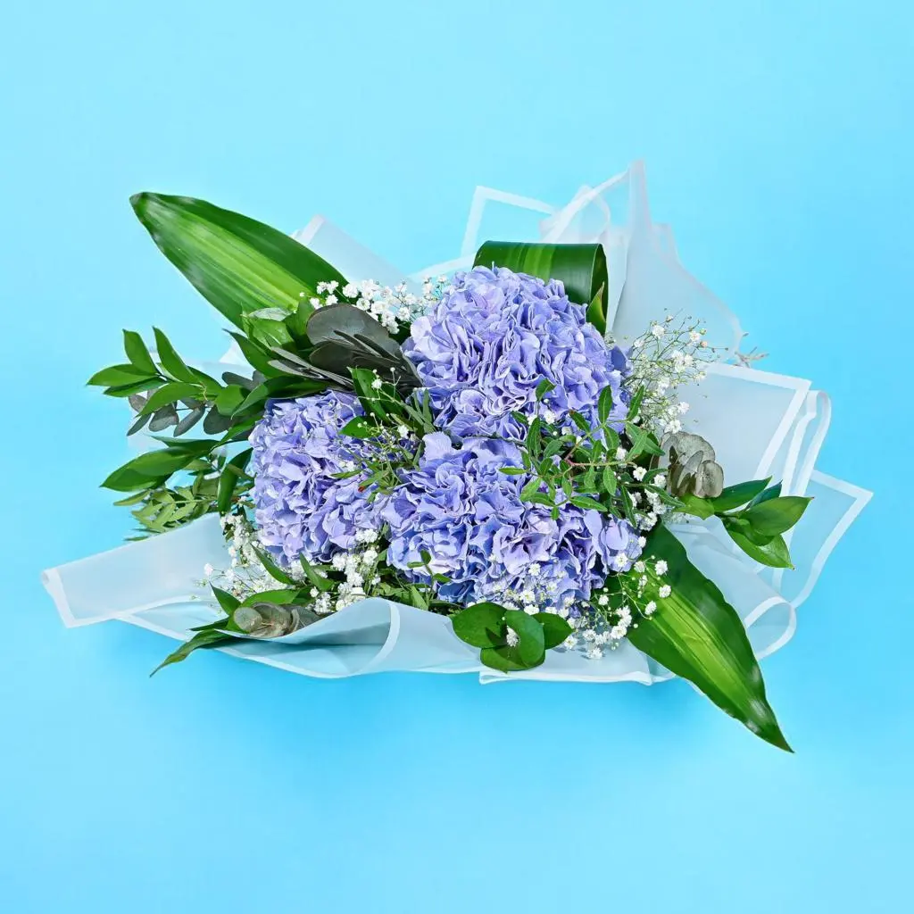 Hydrangea Serenity Bouquet 0031
